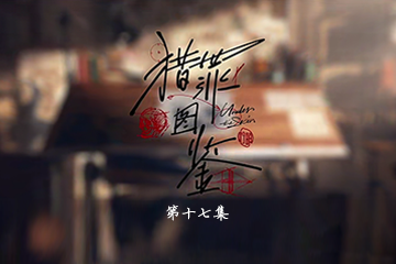 猎罪图鉴 17